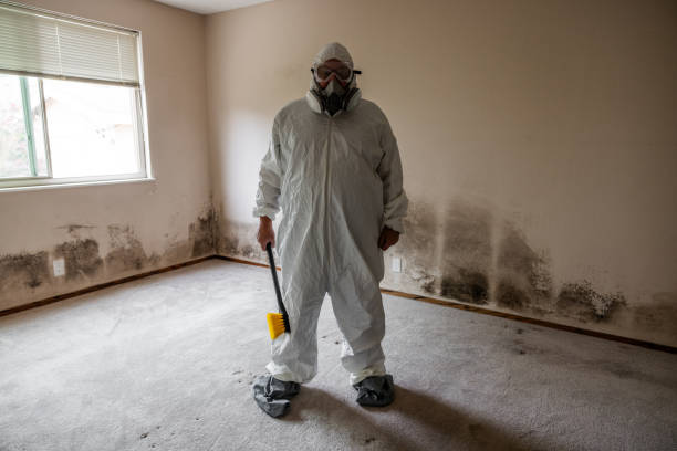 Best Industrial Mold Remediation in Gig Harbor, WA